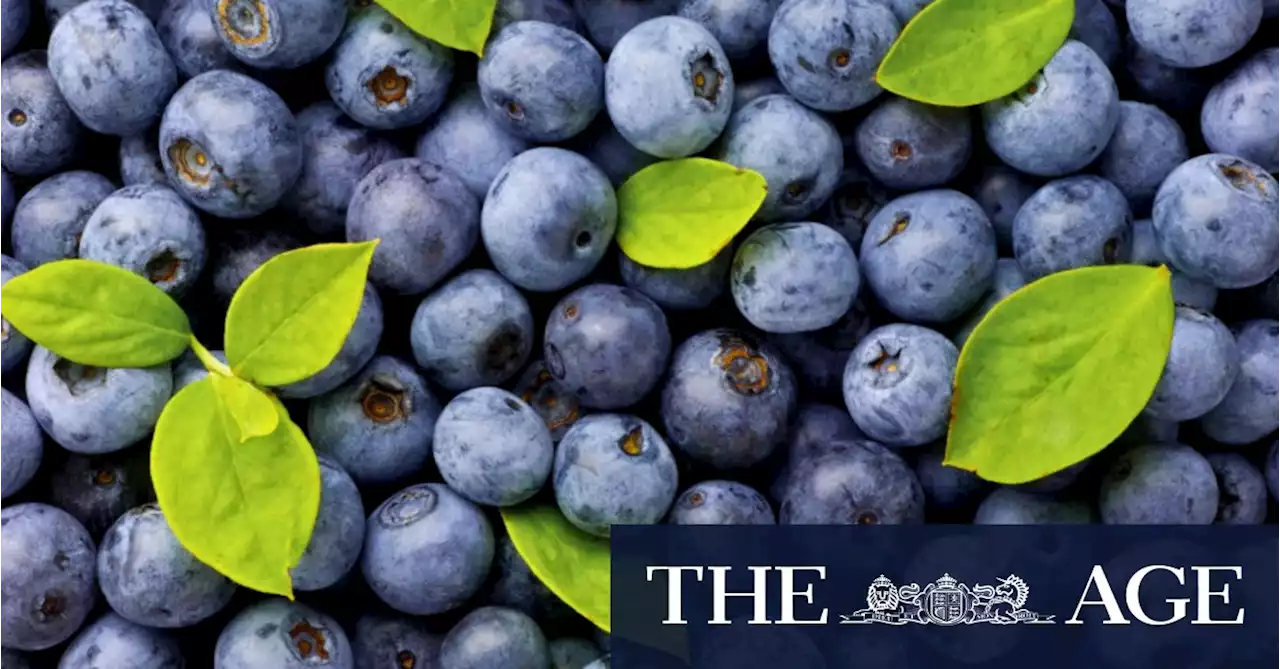 Why blueberries are so cheap right now