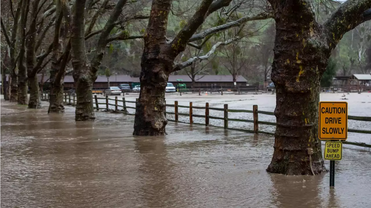 5-Year-Old Swept Away in Floods Along California’s Central Coast