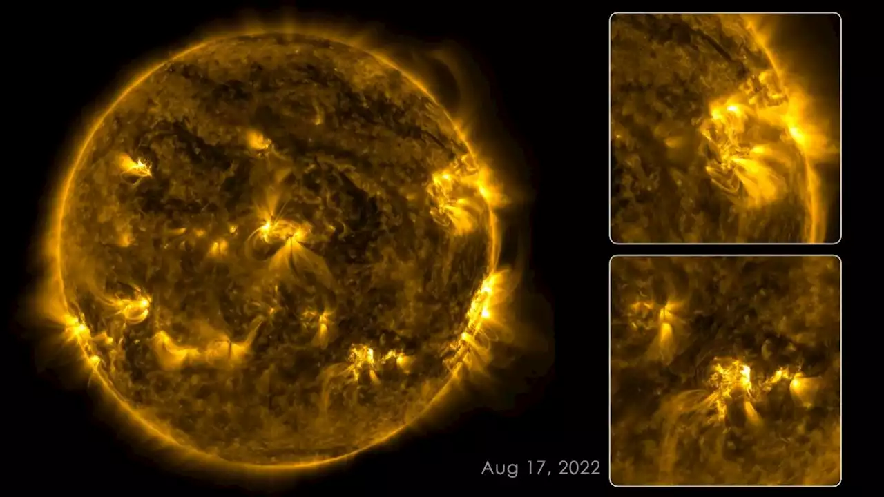 133 Days of the Sun's Glory