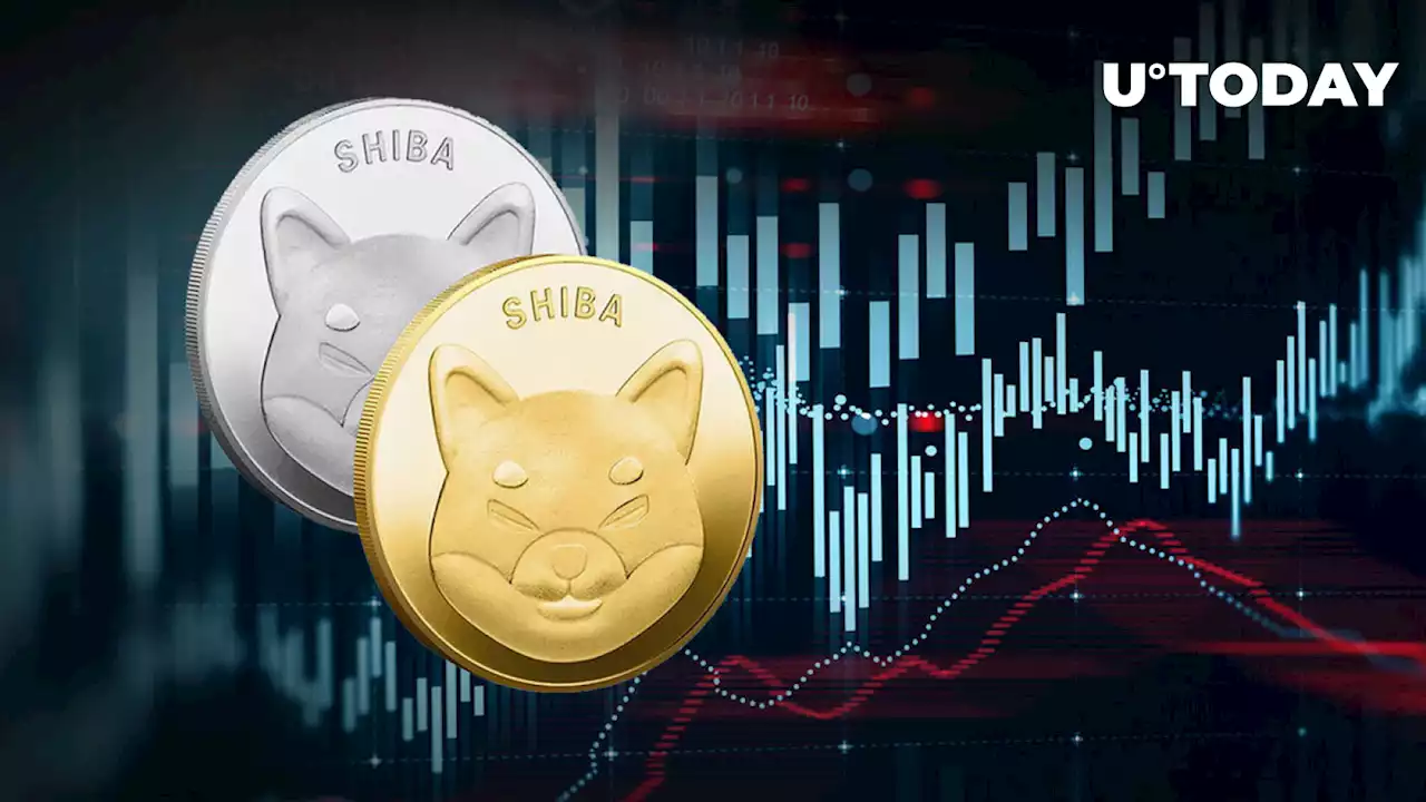 SHIB Price Acts Impressive Amid 13 Trillion Shiba Inu Token Transfer