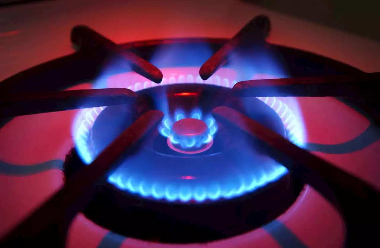 Federal agency considers ban on gas stoves following report linking them to childhood asthma