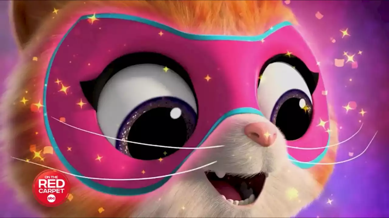 New Disney Channel show 'SuperKitties' features Justin Guarini as show's fluffy villain