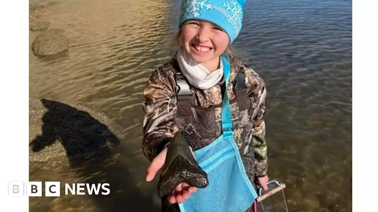 Girl, 9, finds megalodon shark tooth on Maryland beach