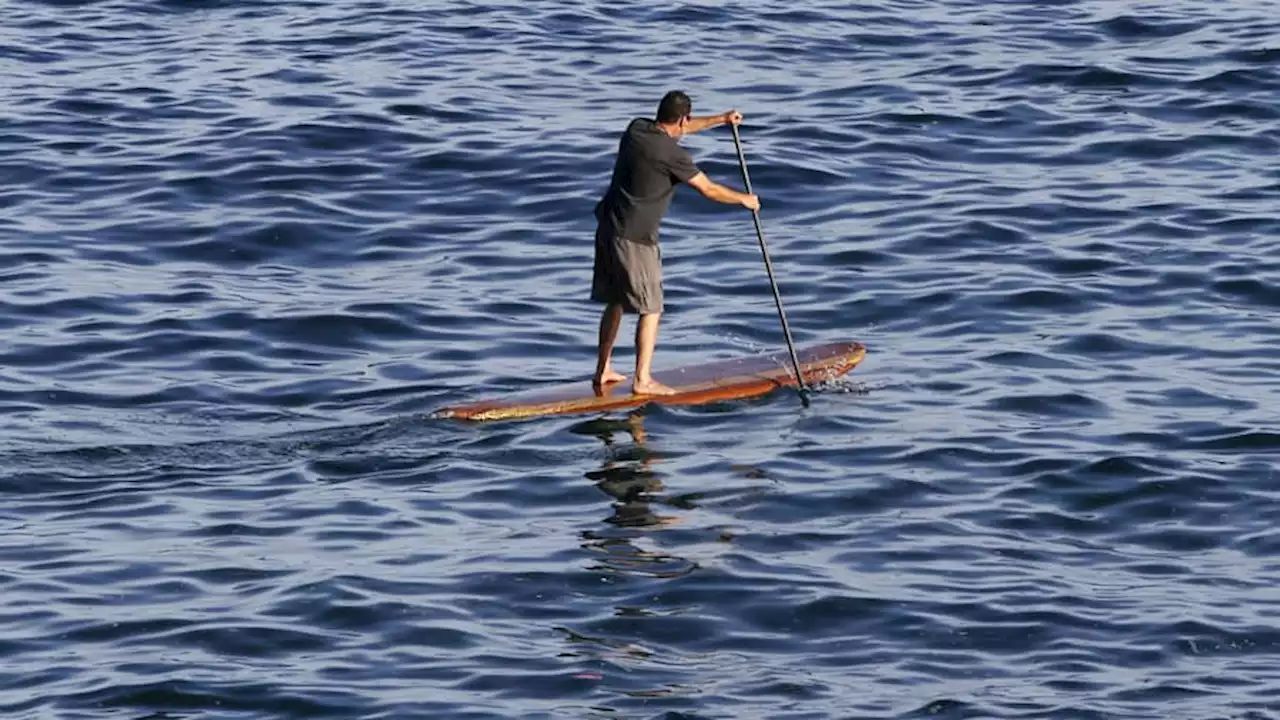 Australie: victime d'un accident de paddle, un couple survit miraculeusement après trois jours de dérive