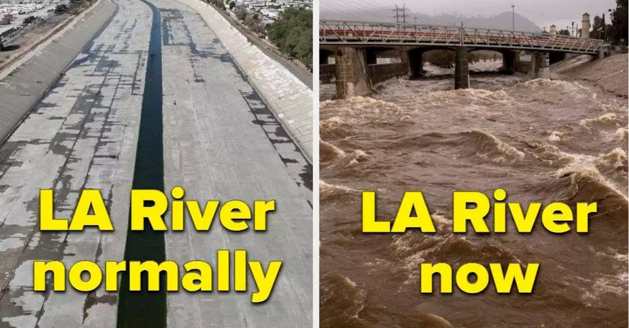 25 Pictures That Show Just How Wild The Rain In Los Angeles Is Right Now