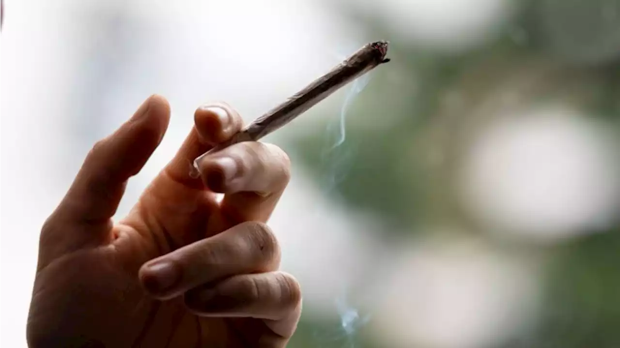 FDP dringt auf schnelle Cannabis-Legalisierung