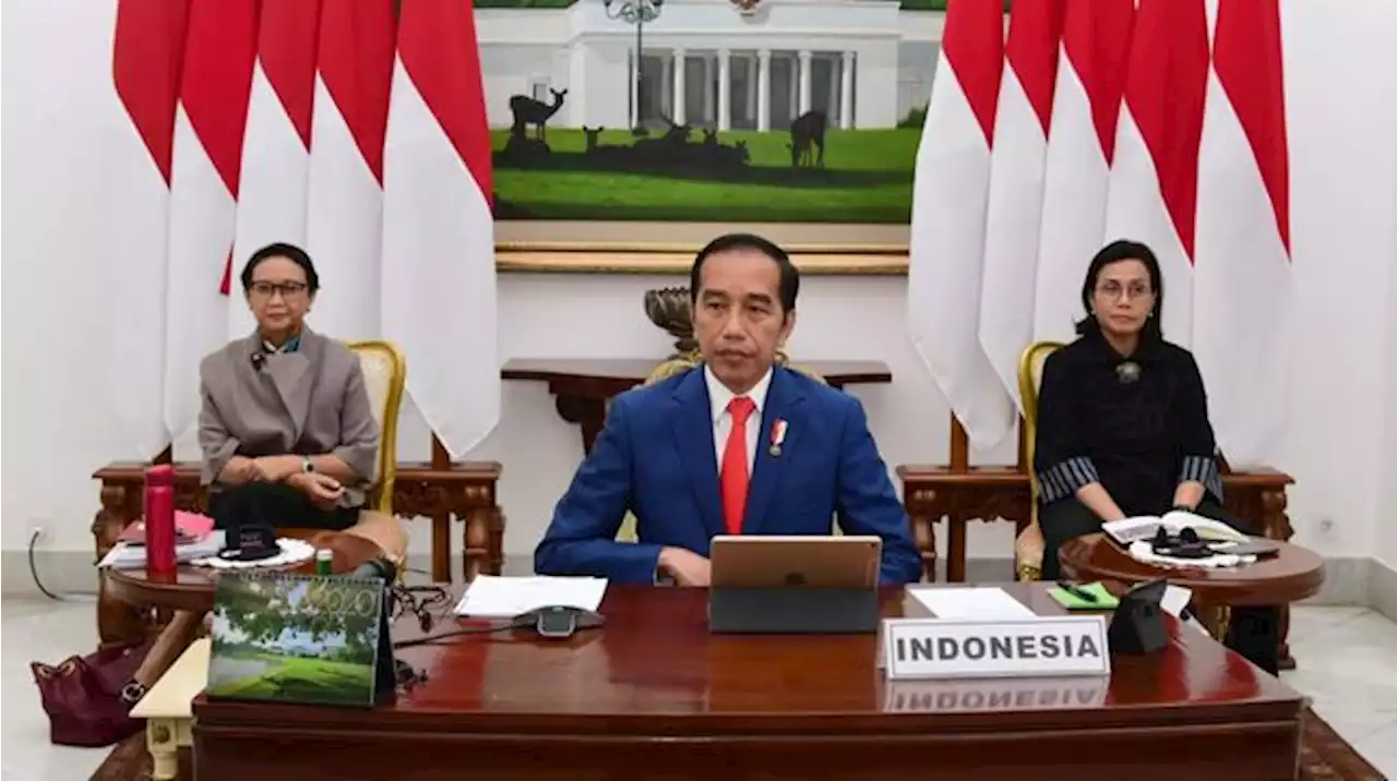 Sangar! Jokowi Utus Perempuan Ini Lawan Gugatan Eropa di WTO