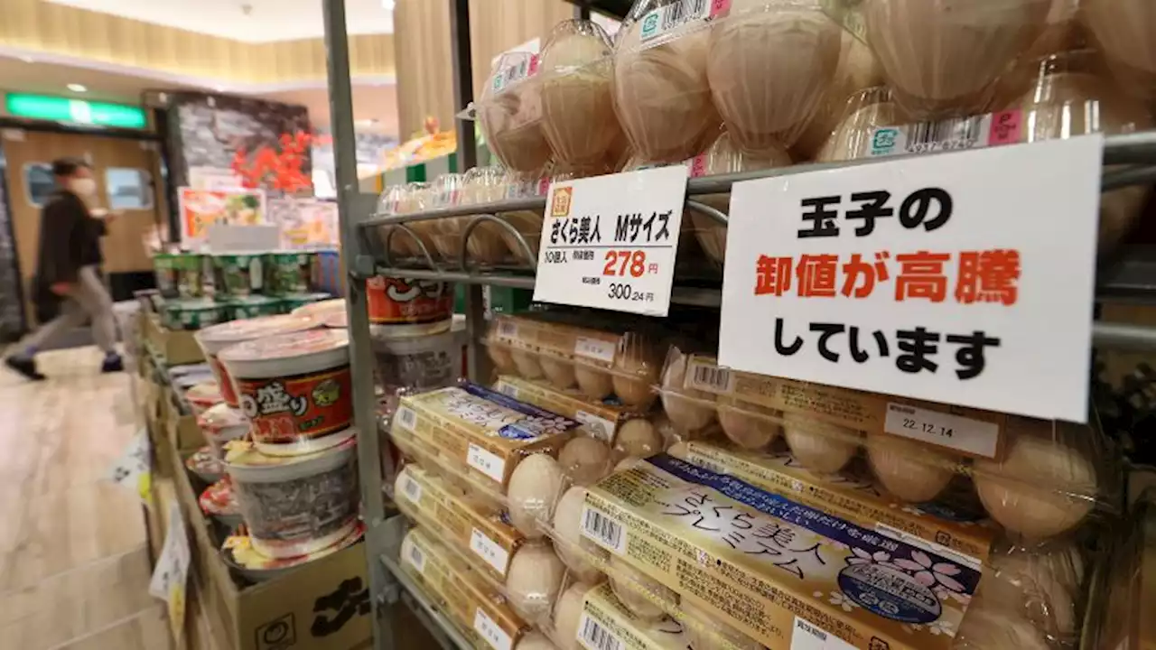 Egg prices 'expected to soar' in Japan after record cull of 10 million birds | CNN Business