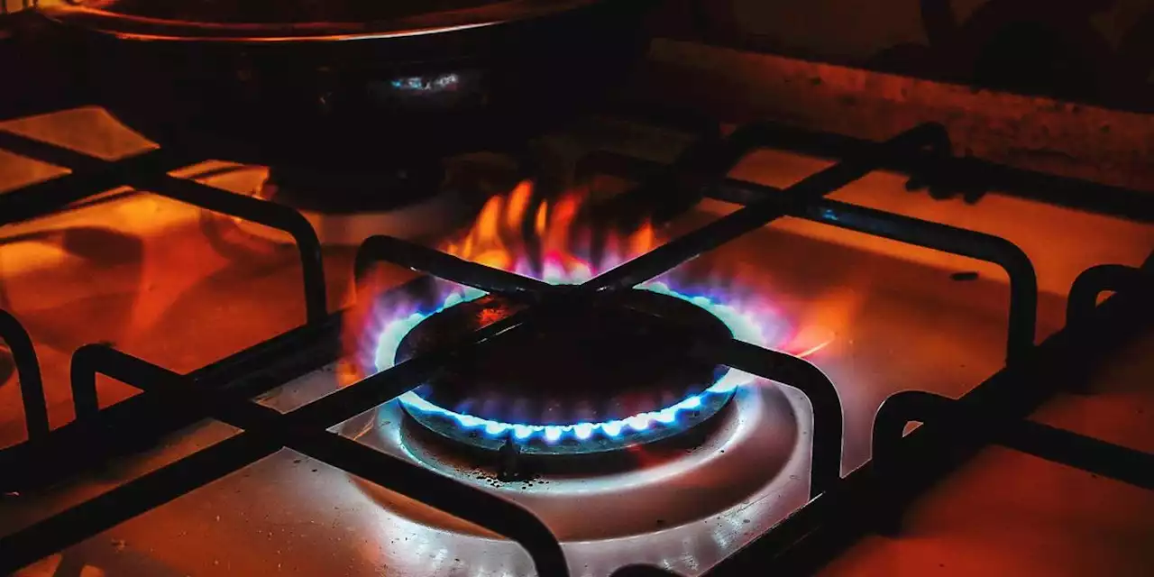 'Turn the Burners Off': Groups, Experts Welcome Possible US Ban on New Gas Stoves