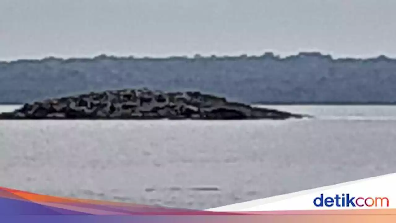 5 Fakta 'Pulau Baru' Muncul Akibat Gempa Maluku 10 Januari 2023