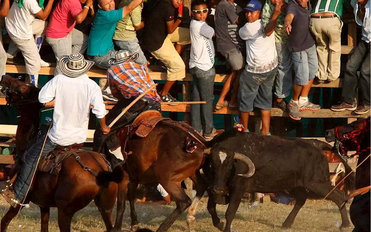 Gobernación de Antioquia buscará prohibir las corralejas para este 2023