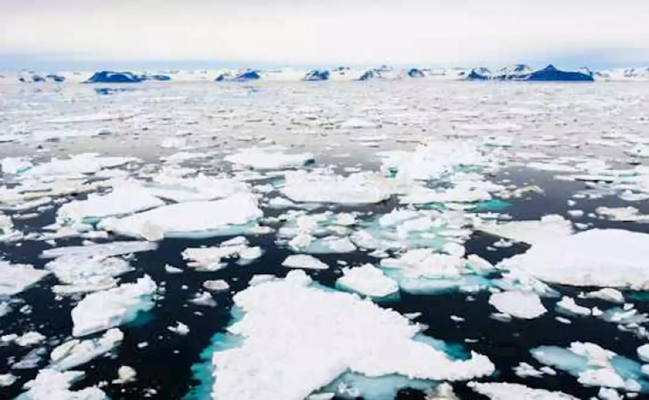 “Zonas muertas” en el Atlántico Norte por calentamiento global