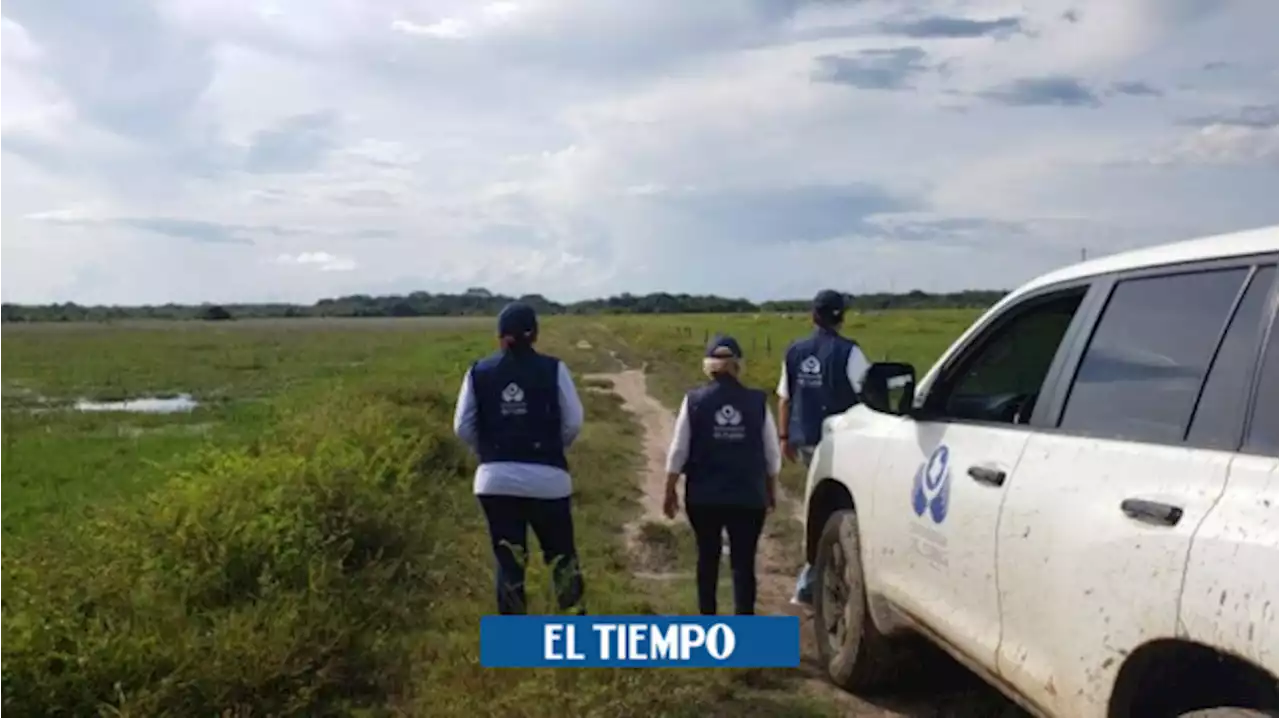 Defensoría del Pueblo verifica combates entre disidencias y Eln en Arauca