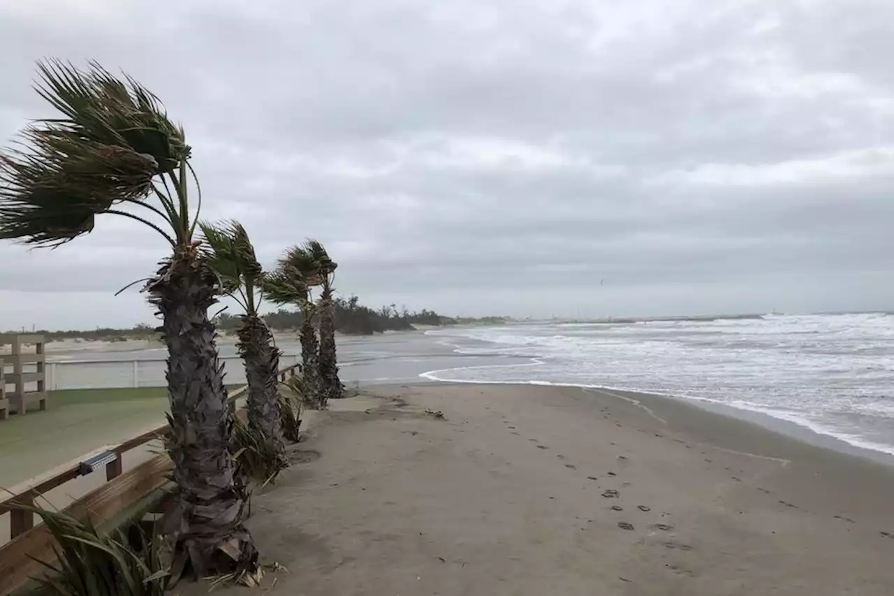 Météo : des rafales de vent jusqu'à 80 km/h en bord de mer, la préfecture maritime appelle à la prudence en Languedoc et en Provence