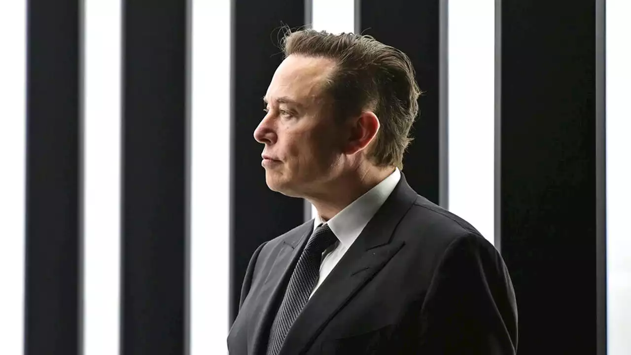 Guinness World Records: Elon Musk claims title of 'largest loss of personal fortune'