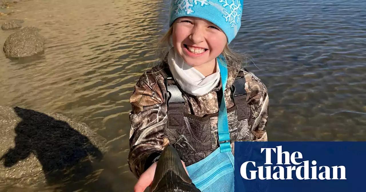 ‘Cool’: nine-year-old finds rare, ancient shark tooth on Maryland beach