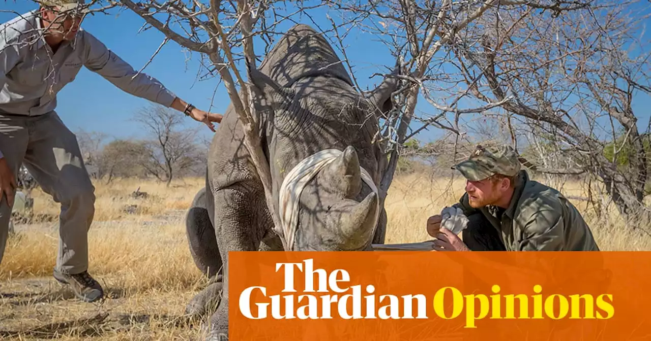 So William and Harry rowed over whose ‘thing’ Africa is. Now tell me the colonial mindset is dead | Nels Abbey