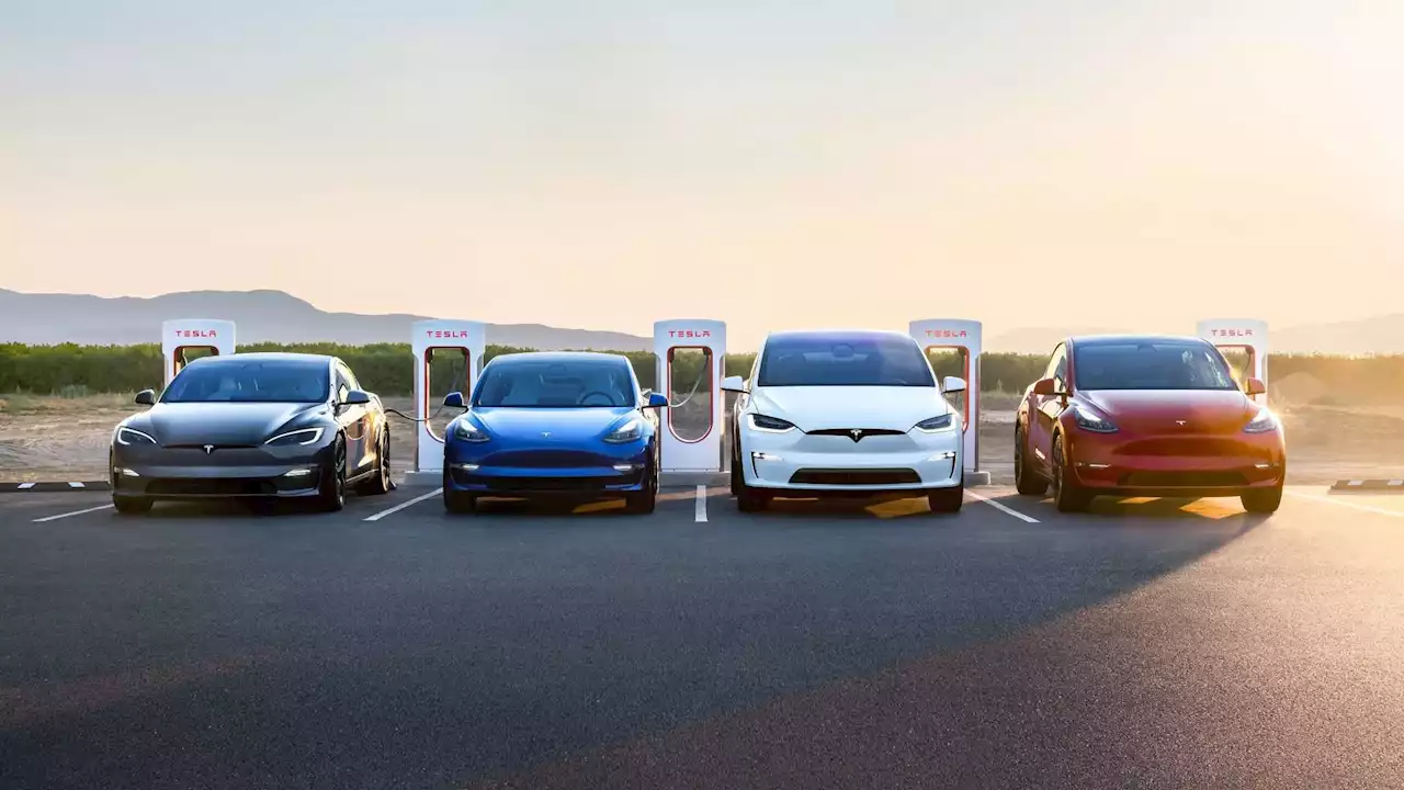 Half Of US New Car Buyers Believe EVs Are Too Expensive: Survey