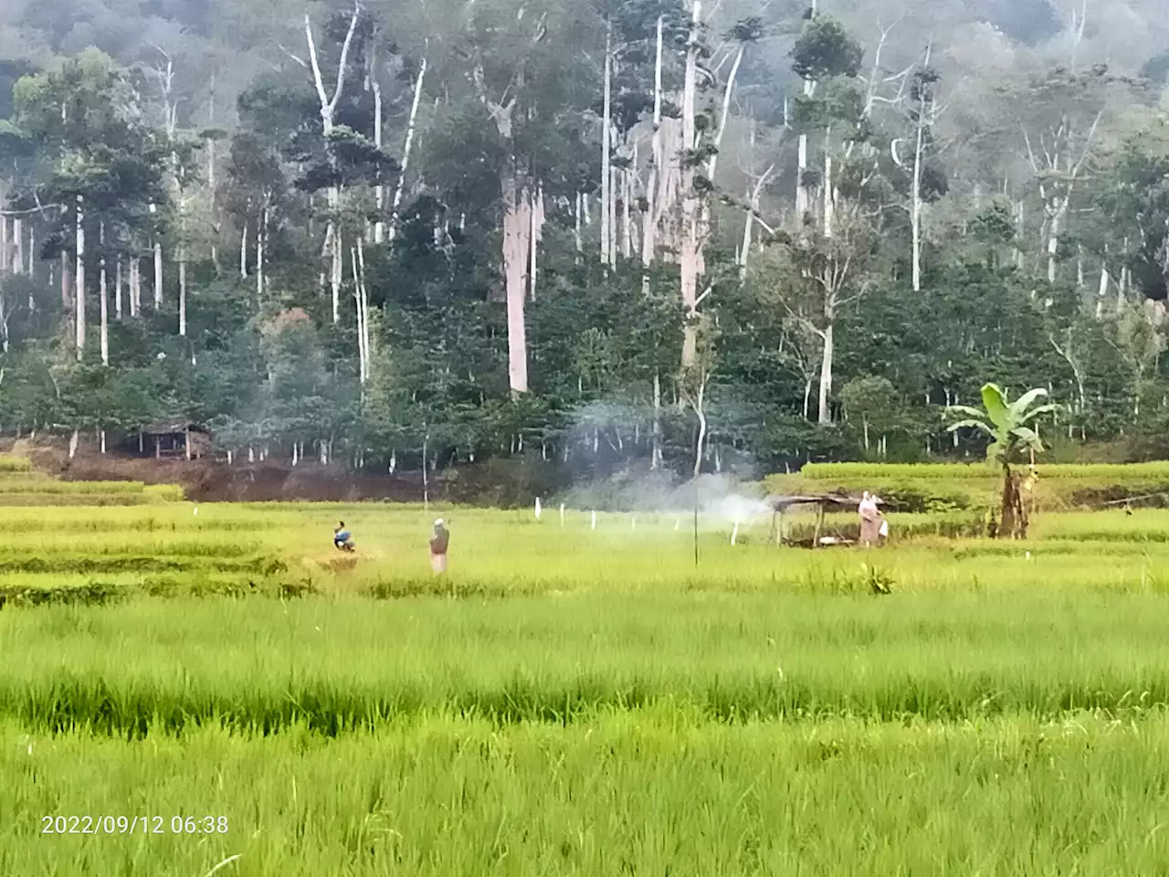 Peringatan Dini BMKG Lampung, Cuaca Ekstrem Mengintai 7 Wilayah Ini