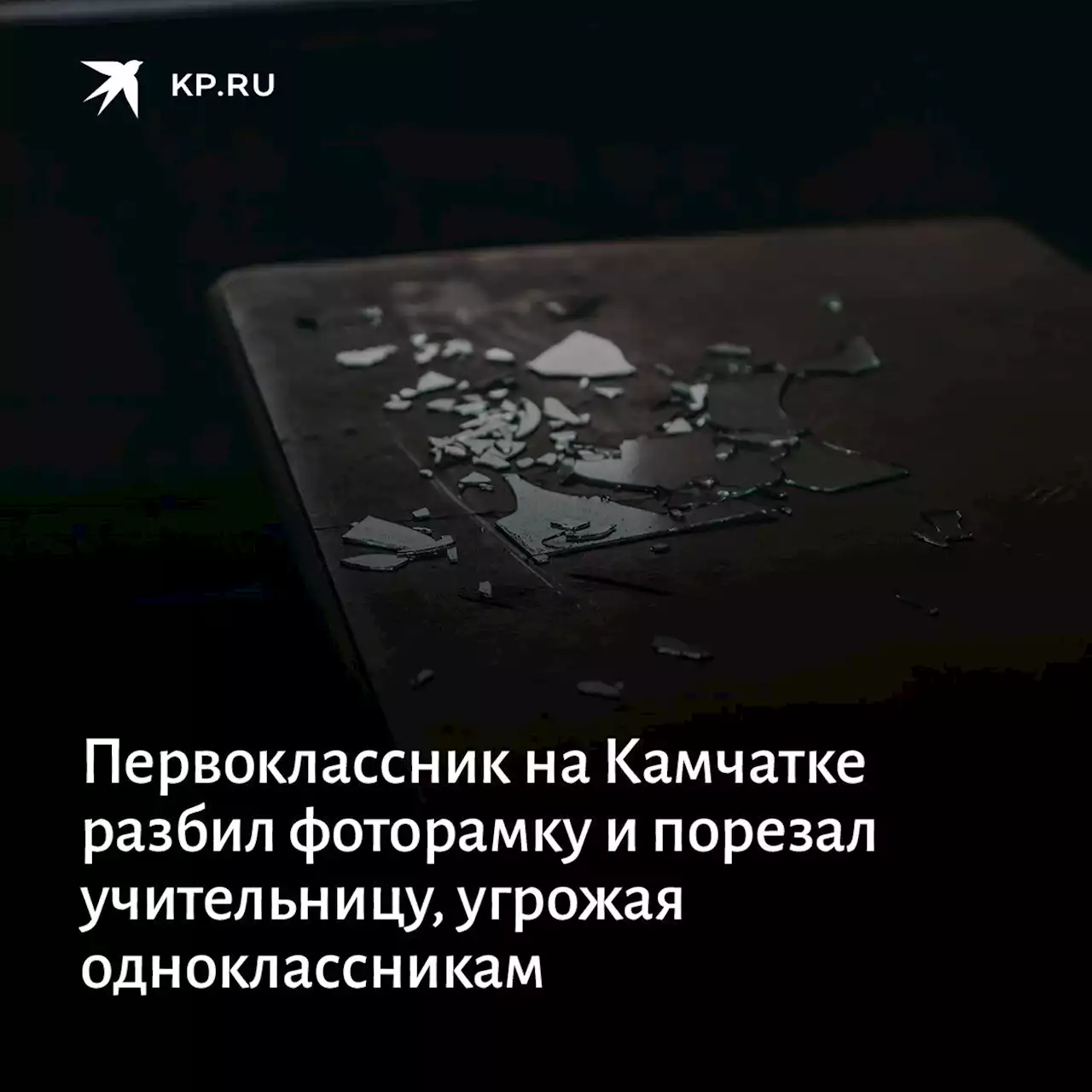 Первоклассник в Вилючинске порезал учительницу 10 января 2022 года: детали, мнения, проверки