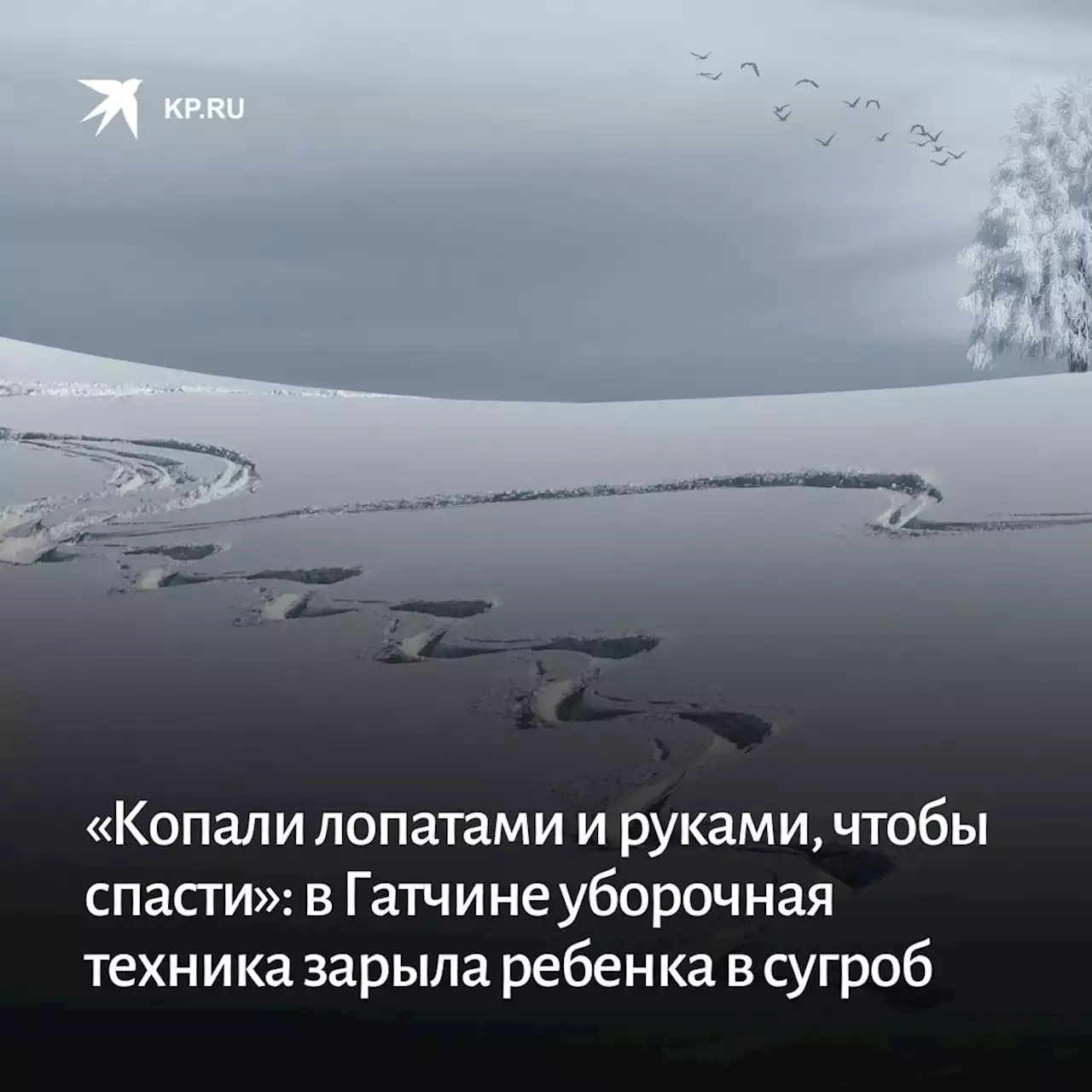 «Копали лопатами и руками, чтобы спасти»: в Гатчине уборочная техника зарыла ребенка в сугроб