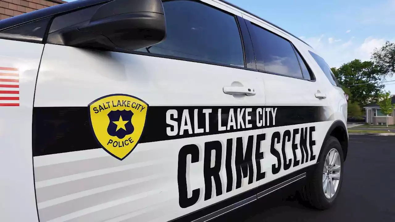 Salt Lake officers did not discriminate in domestic violence case, report finds