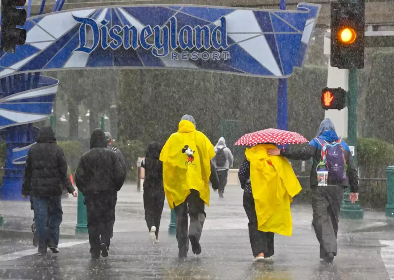 Disneyland loosens parkhopping restrictions after visitor complaints