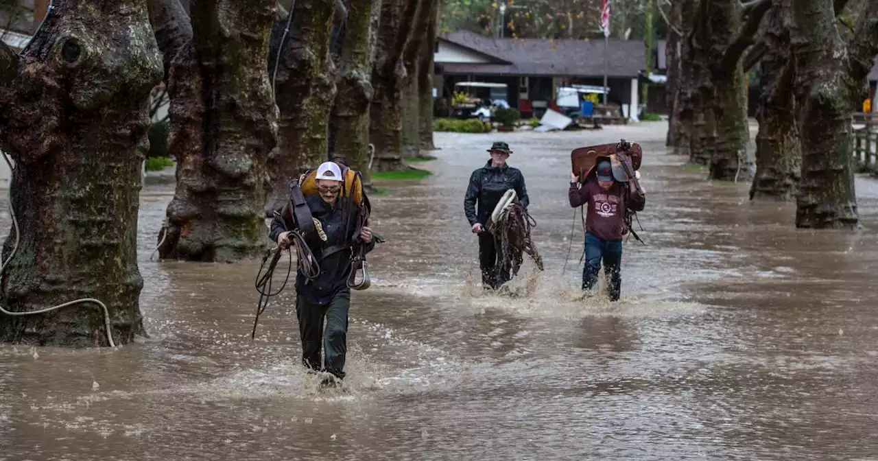 California storm death toll reaches 17 as floods and extreme wind wreak havoc