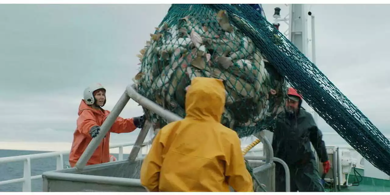 Cinéma : Le « Grand Marin » reste à quai