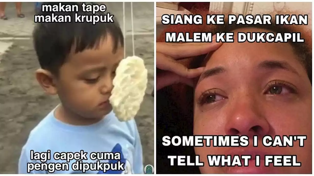 6 Meme Pantun Ungkapan Perasaan ke Gebetan Ini Kocak, Butuh Usaha Keras