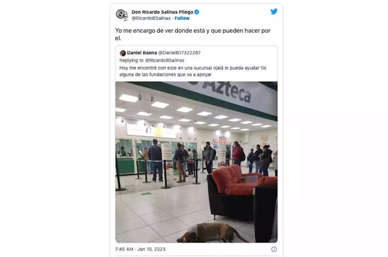 Ricardo Salinas adopta a perro que se refugió en Banco Azteca