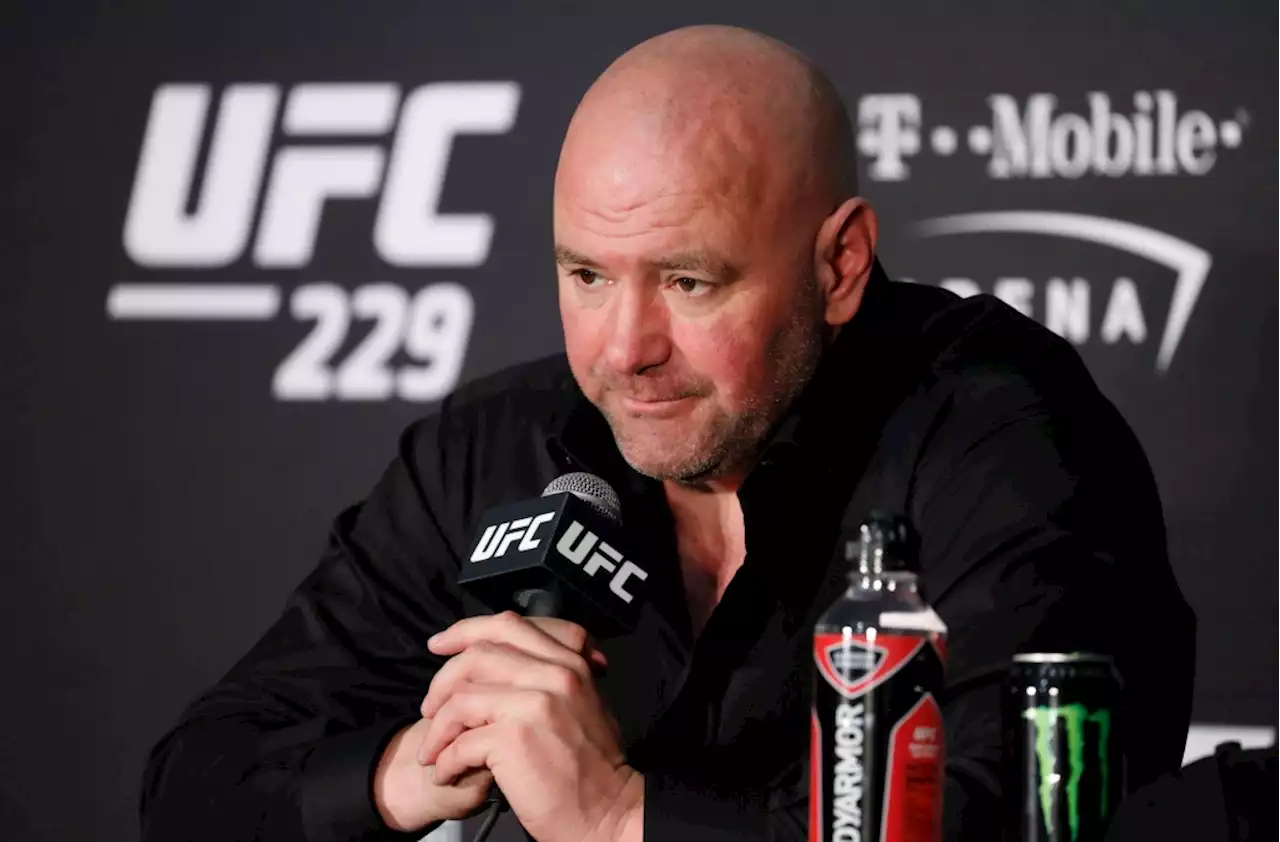 California lawmakers call for Dana White’s ouster at UFC after slapping wife on video