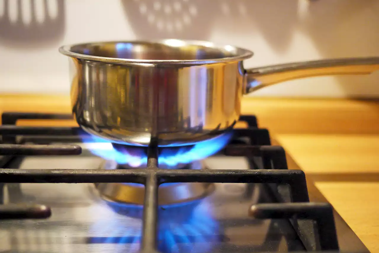 Federal Safety Commissioner Proposes Ban on Gas Stoves