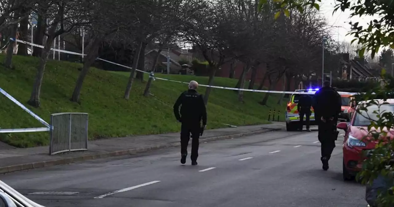 Large police cordon after man stabbed in broad daylight