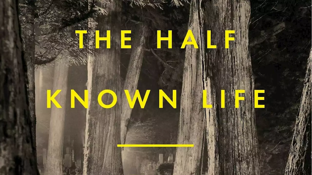 Pico Iyer's 'The Half Known Life' upends the conventional travel genre