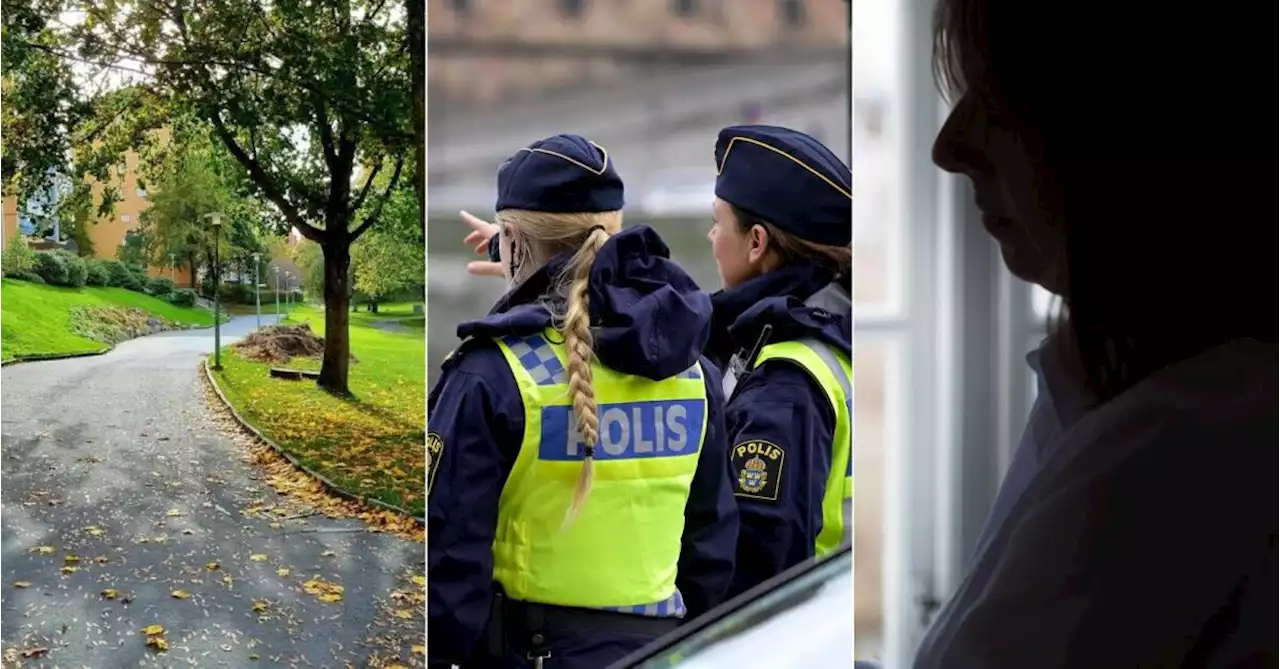 Granskning avslöjar: Så dröjde polisens sökinsats efter tonåringen