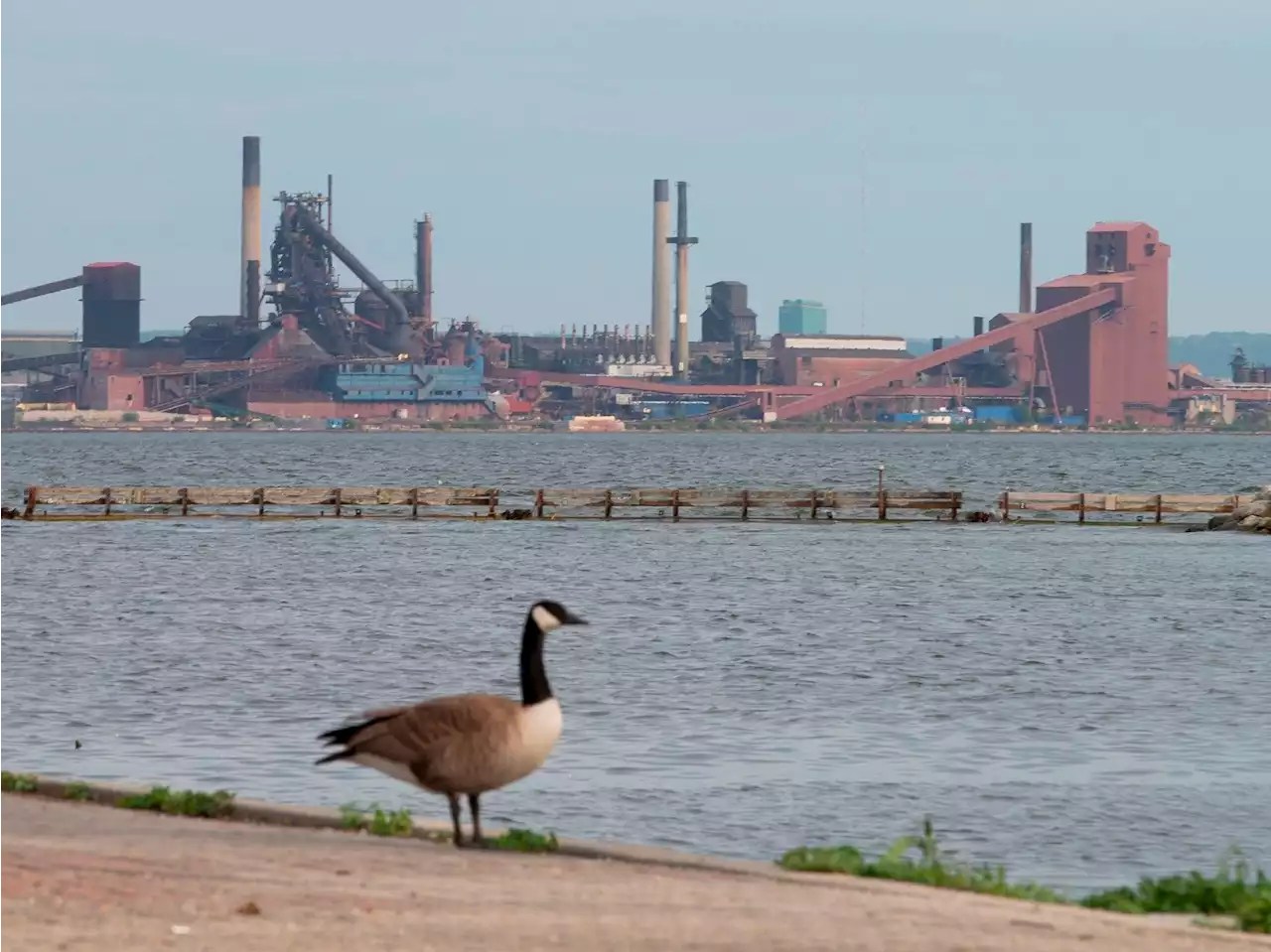 Hamilton uncovers second leak dumping raw sewage into Lake Ontario for decades