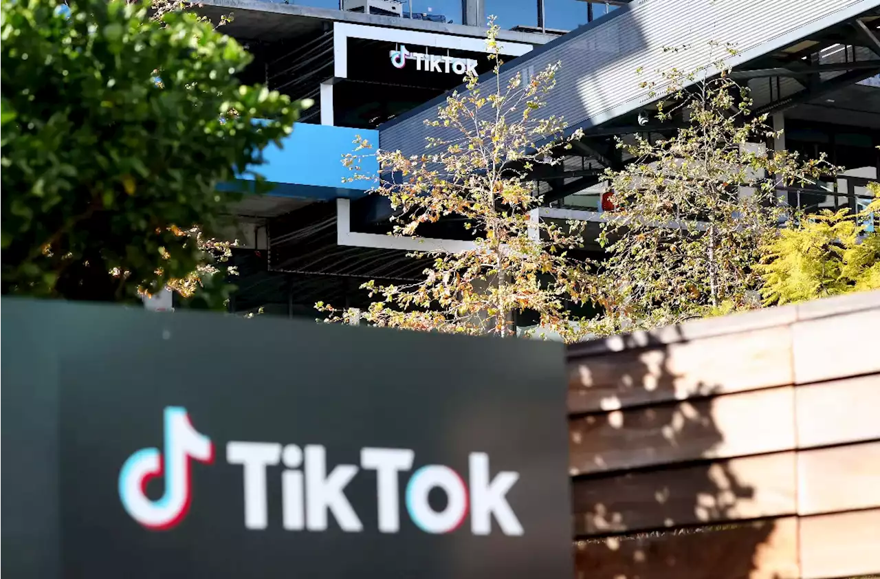 El panorama de TikTok en Estados Unidos se oscurece; suspendieron contratación - Pulzo