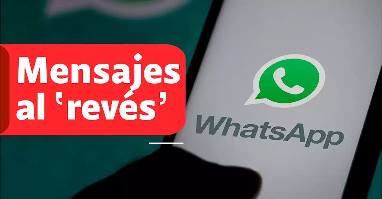 Confunda a los chismosos, así puede enviar mensajes al ‘revés’ a un chat de WhatsApp