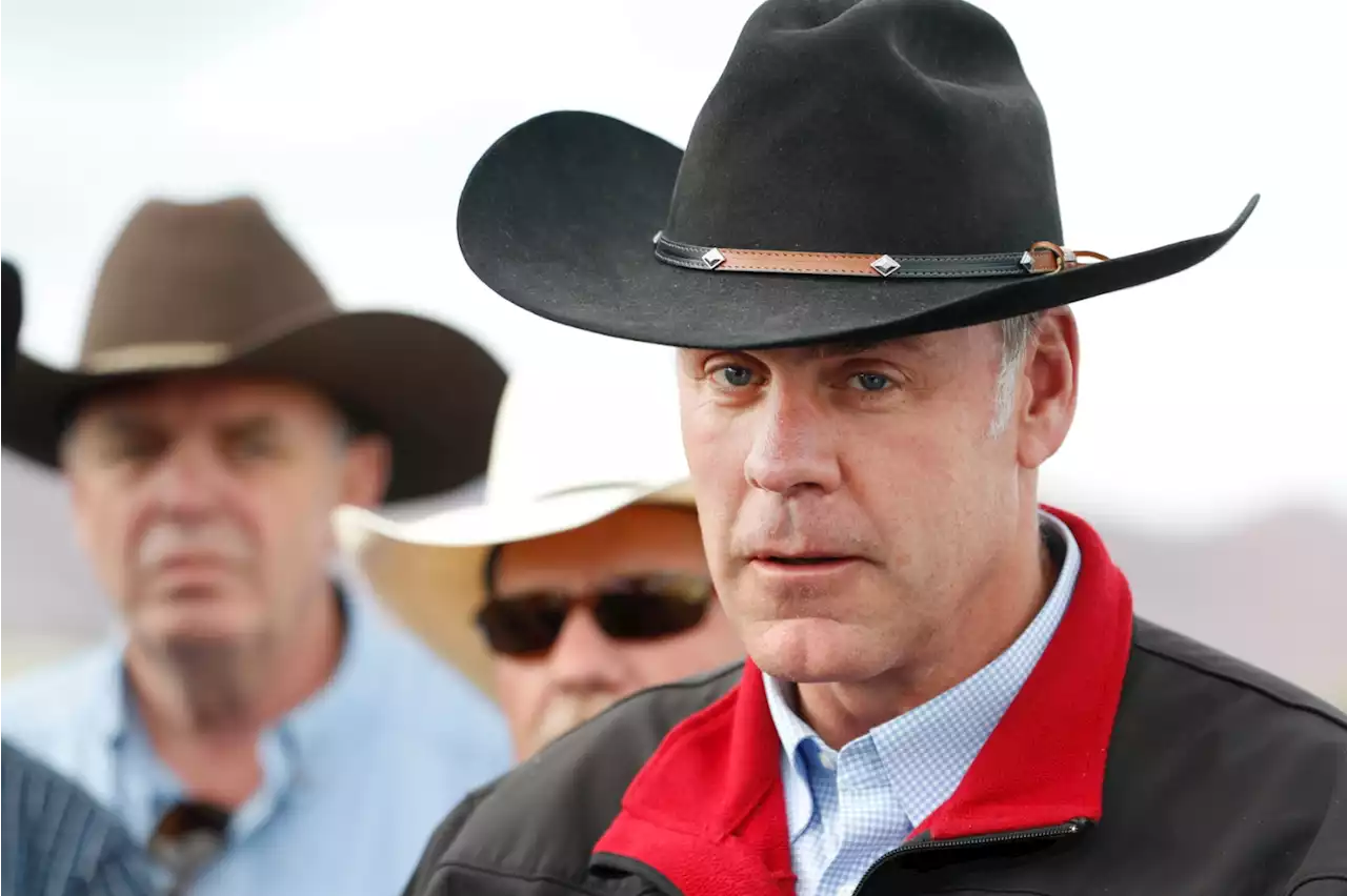 MAGA Congressman Rants About 'Deep State' Trying to 'Wipe Out the American Cowboy'