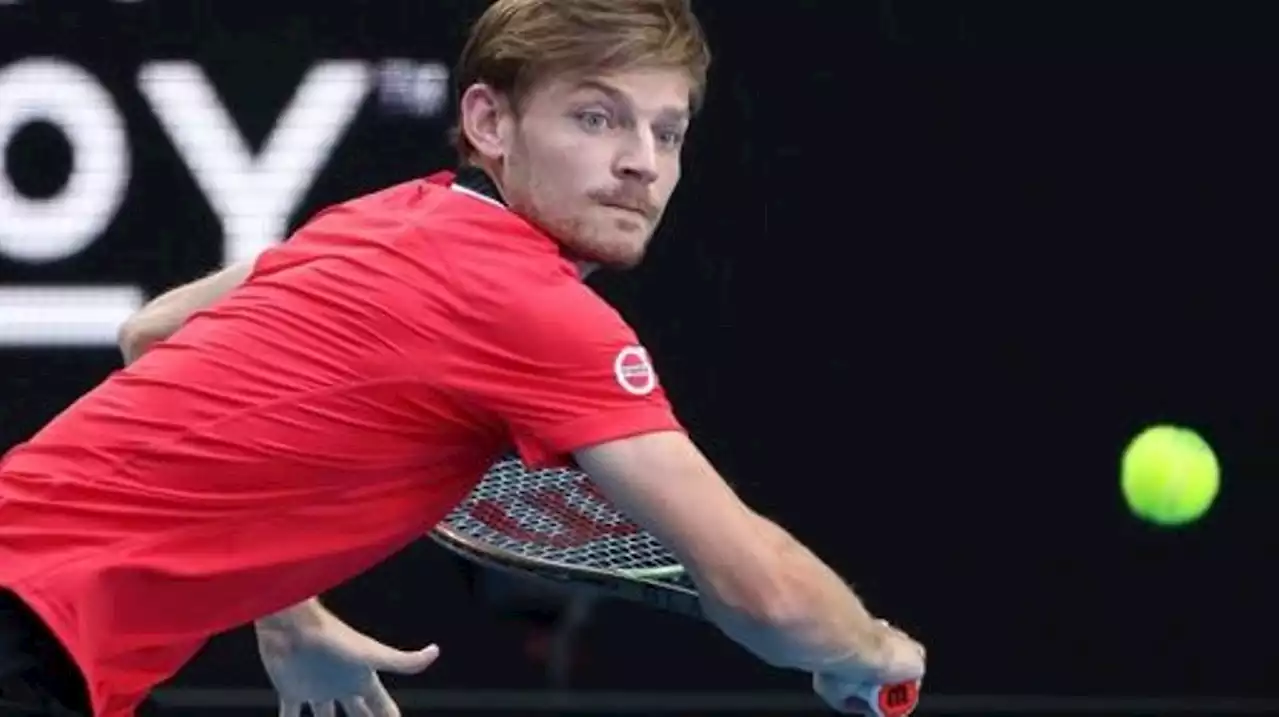 Une frayeur et une interruption avant une qualifcation aisée, David Goffin se hisse en quarts à Auckland