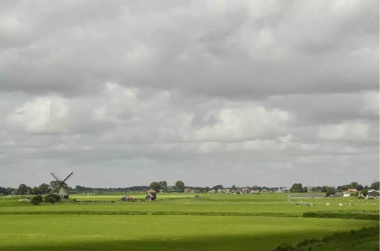 Holland will Biolandbau kräftig ausbauen - Schweizer Bauer