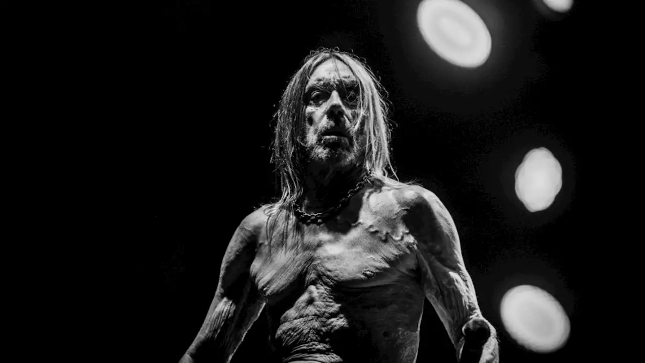 Neues Album von von Iggy Pop: Alter weiser Mann