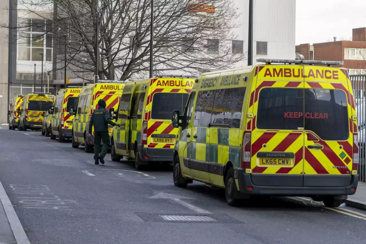 Paramedics tell of patients having seizures in hospital corridors and relentless 16-hour shifts