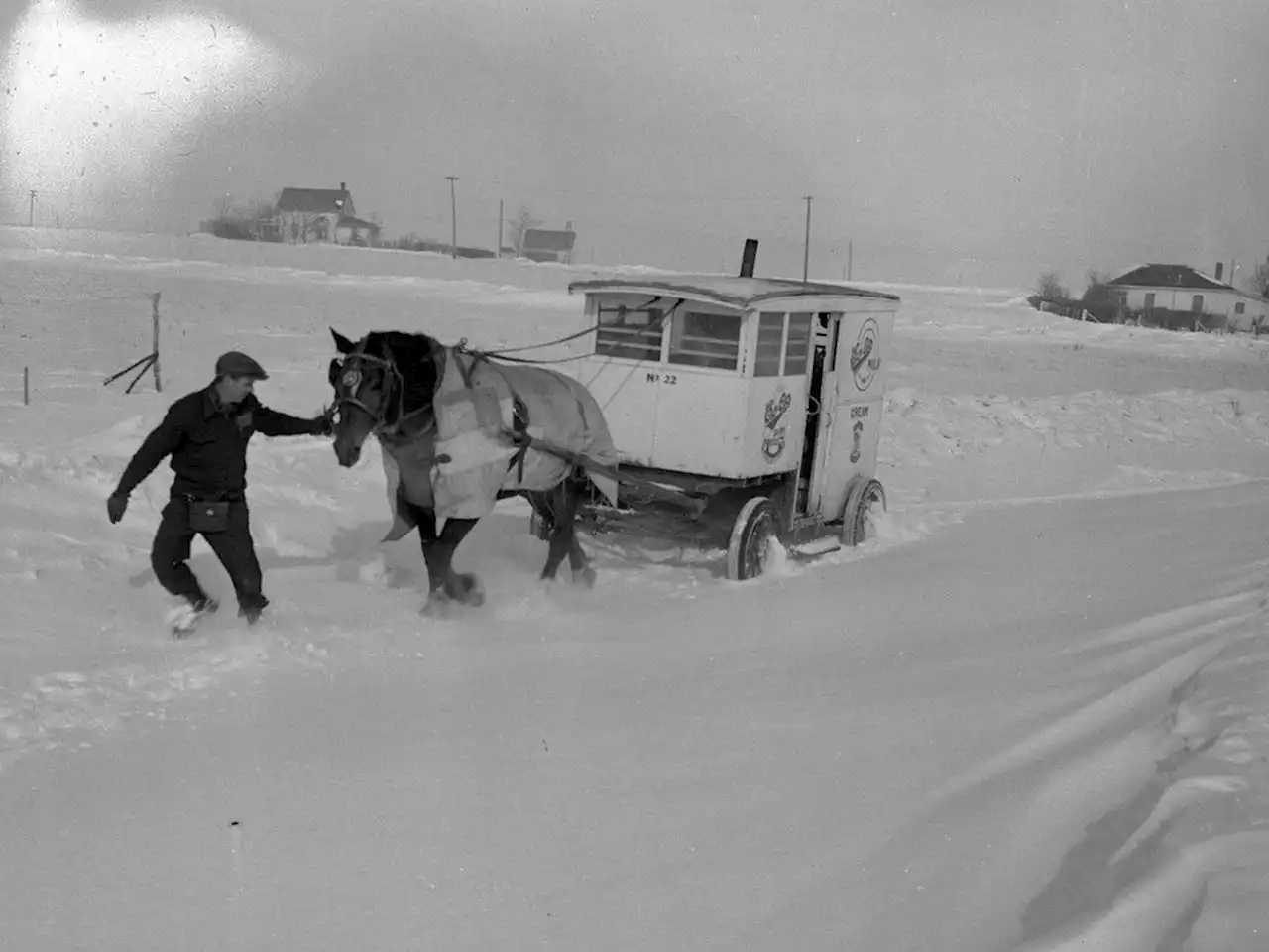 Letters: Photo of horse-drawn milk wagon in Saskatoon sparks memories