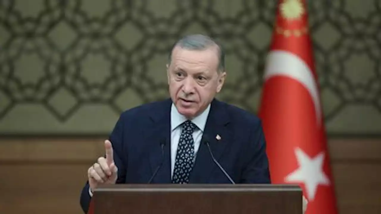 Türkiye's Erdogan slams 'some NATO countries' for sheltering terrorists