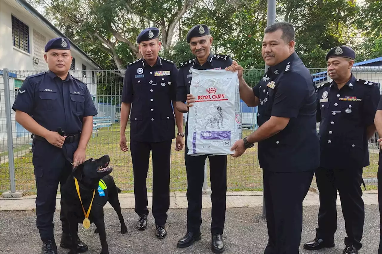 Anjing K9 perlu ditambah di Langkawi