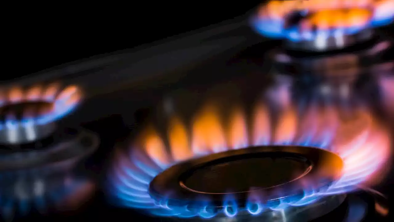 No plans for nationwide ban of gas stoves, CPSC says following report, backlash