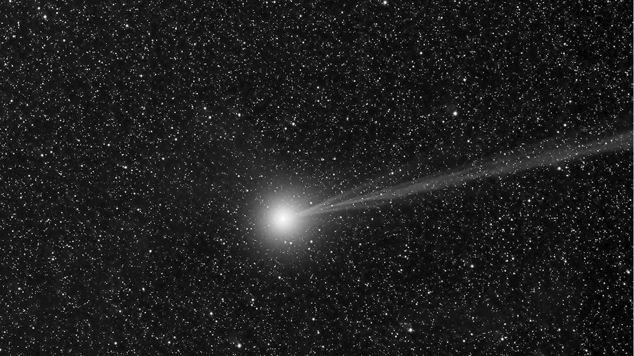 È arrivata la cometa del 2023: come e dove vederla nel cielo