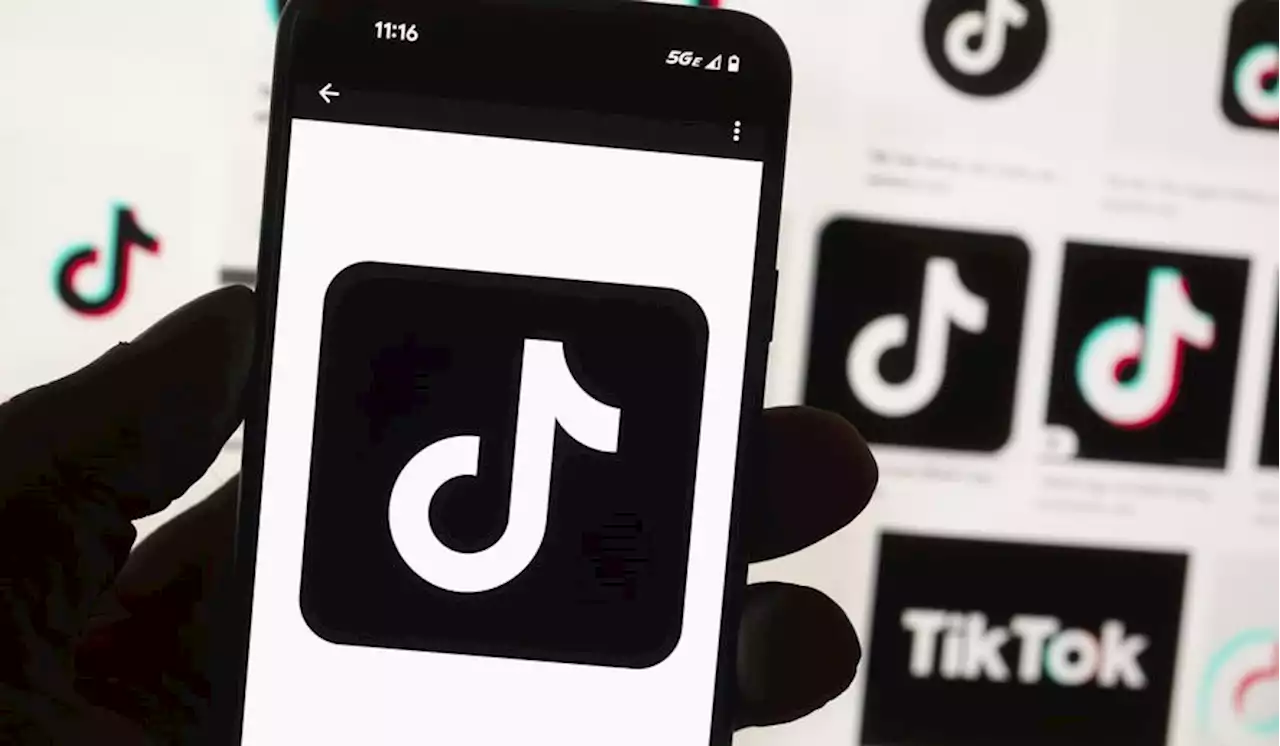 TikTok boss meets European officials as scrutiny intensifies